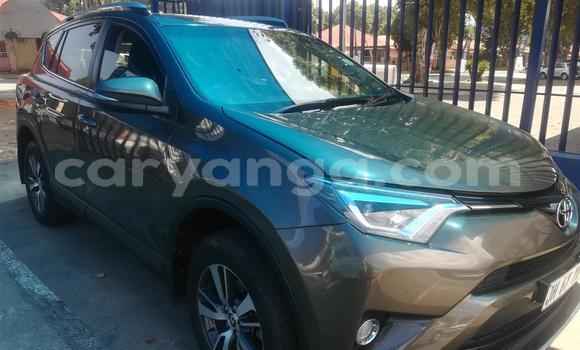 Buy Used Toyota RAV4 Other Car in Lilongwe in Malawi Buy Used Toyota RAV4 Other Car in Lilongwe in Malawi
