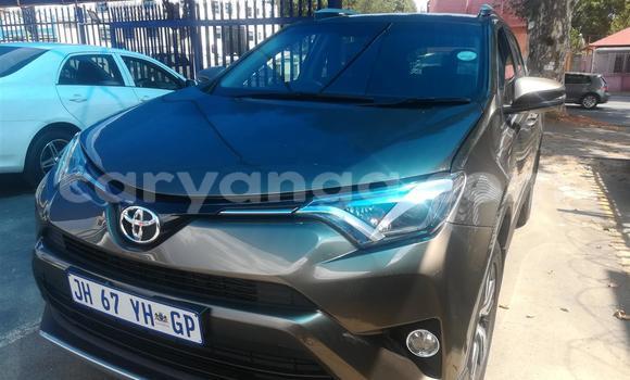 Buy Used Toyota RAV4 Other Car in Lilongwe in Malawi Buy Used Toyota RAV4 Other Car in Lilongwe in Malawi