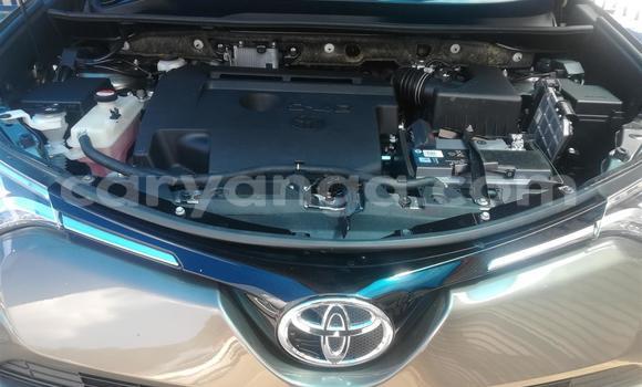 Buy Used Toyota RAV4 Other Car in Lilongwe in Malawi Buy Used Toyota RAV4 Other Car in Lilongwe in Malawi