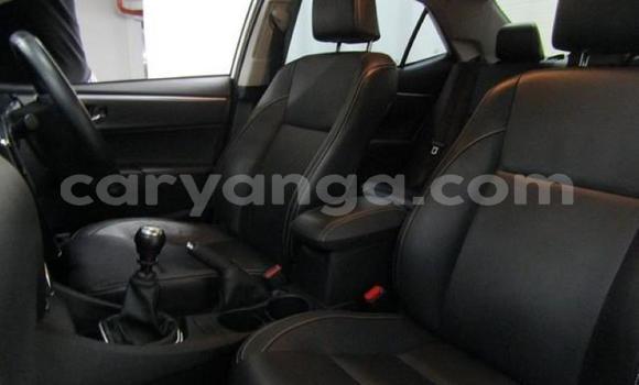Buy Used Toyota Corolla Silver Car in Import - Dubai in Malawi Buy Used Toyota Corolla Silver Car in Import - Dubai in Malawi