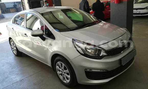 Buy Used Kia Rio Silver Car in Lilongwe in Malawi Buy Used Kia Rio Silver Car in Lilongwe in Malawi