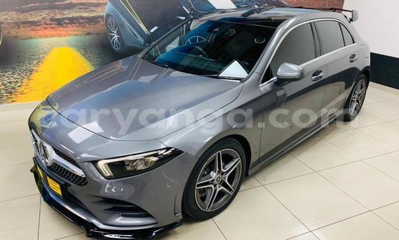 Buy Used Mercedes‒Benz 250 Silver Car in Import - Dubai in Malawi Buy Used Mercedes‒Benz 250 Silver Car in Import - Dubai in Malawi