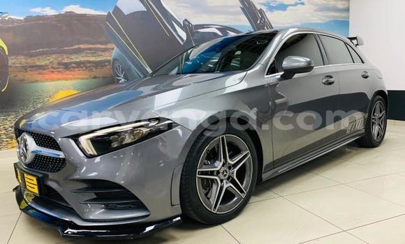 Buy Used Mercedes‒Benz 250 Silver Car in Import - Dubai in Malawi Buy Used Mercedes‒Benz 250 Silver Car in Import - Dubai in Malawi