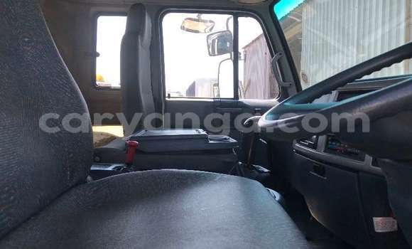 Buy Used Nissan UD White Truck in Chilumba in Karonga