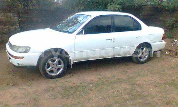 Buy Used Toyota Corolla Black Car in Limbe in Malawi Buy Used Toyota Corolla Black Car in Limbe in Malawi