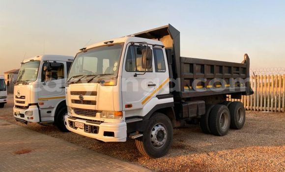 Buy Used Nissan UD White Truck in Livingstonia in Karonga