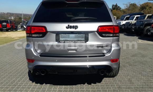 Nunua Ilio tumika Jeep Cherokee Silver Gari ndani ya Blantyre nchini Malawi Nunua Ilio tumika Jeep Cherokee Silver Gari ndani ya Blantyre nchini Malawi