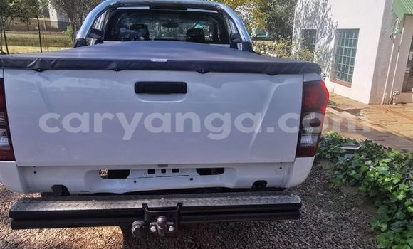 Buy Used Isuzu KB White Car in Blantyre in Malawi Buy Used Isuzu KB White Car in Blantyre in Malawi