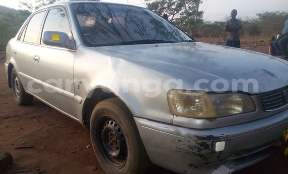 Acheter Occasion Voiture Toyota Corolla Gris à Blantyre, Malawi Acheter Occasion Voiture Toyota Corolla Gris à Blantyre, Malawi