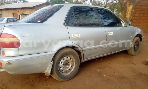 Acheter Occasion Voiture Toyota Corolla Gris à Blantyre, Malawi Acheter Occasion Voiture Toyota Corolla Gris à Blantyre, Malawi
