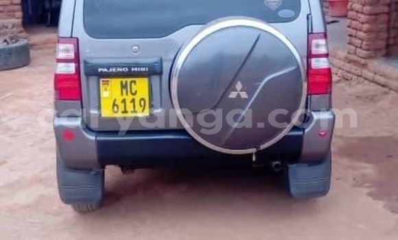 Acheter Occasion Voiture Mitsubishi Pajero Junior Autre à Blantyre, Malawi Acheter Occasion Voiture Mitsubishi Pajero Junior Autre à Blantyre, Malawi