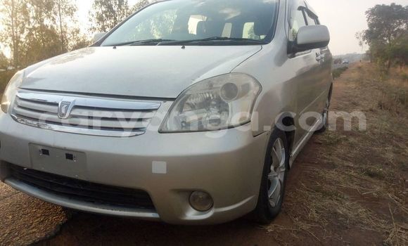 Buy Used Toyota Raum Silver Car in Blantyre in Malawi