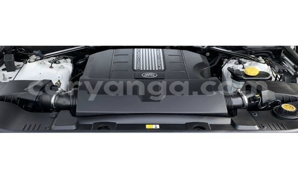 Buy Import Land Rover Range Rover White Car in Import - Dubai in Malawi Buy Import Land Rover Range Rover White Car in Import - Dubai in Malawi