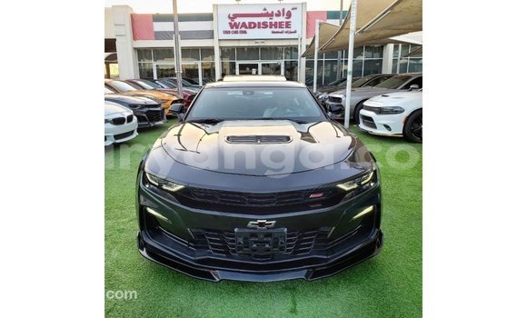 Buy Import Chevrolet Camaro Black Car in Import - Dubai in Malawi Buy Import Chevrolet Camaro Black Car in Import - Dubai in Malawi