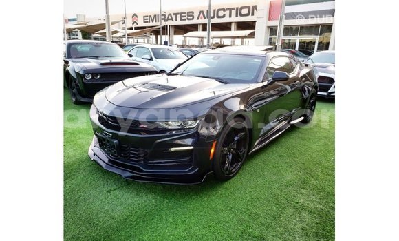 Buy Import Chevrolet Camaro Black Car in Import - Dubai in Malawi Buy Import Chevrolet Camaro Black Car in Import - Dubai in Malawi