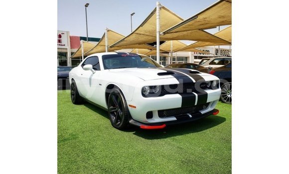 Buy Import Dodge Challenger White Car in Import - Dubai in Malawi