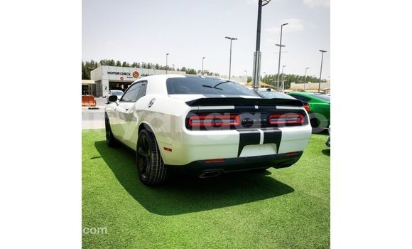 Buy Import Dodge Challenger White Car in Import - Dubai in Malawi Buy Import Dodge Challenger White Car in Import - Dubai in Malawi