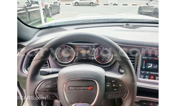 Buy Import Dodge Challenger White Car in Import - Dubai in Malawi Buy Import Dodge Challenger White Car in Import - Dubai in Malawi