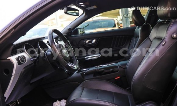Buy Import Ford Mustang Black Car in Import - Dubai in Malawi Buy Import Ford Mustang Black Car in Import - Dubai in Malawi