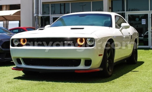 Buy Import Dodge Challenger White Car in Import - Dubai in Malawi