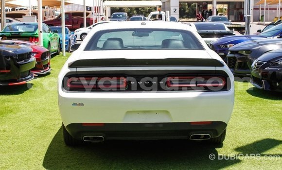 Buy Import Dodge Challenger White Car in Import - Dubai in Malawi Buy Import Dodge Challenger White Car in Import - Dubai in Malawi