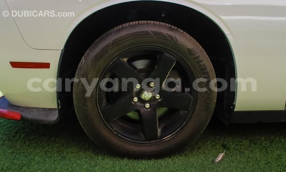 Buy Import Dodge Challenger White Car in Import - Dubai in Malawi Buy Import Dodge Challenger White Car in Import - Dubai in Malawi