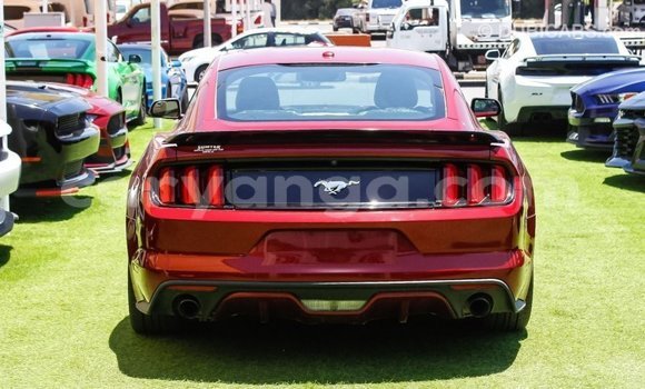 Buy Import Ford Mustang Red Car in Import - Dubai in Malawi Buy Import Ford Mustang Red Car in Import - Dubai in Malawi