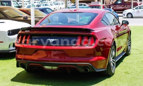 Buy Import Ford Mustang Red Car in Import - Dubai in Malawi Buy Import Ford Mustang Red Car in Import - Dubai in Malawi