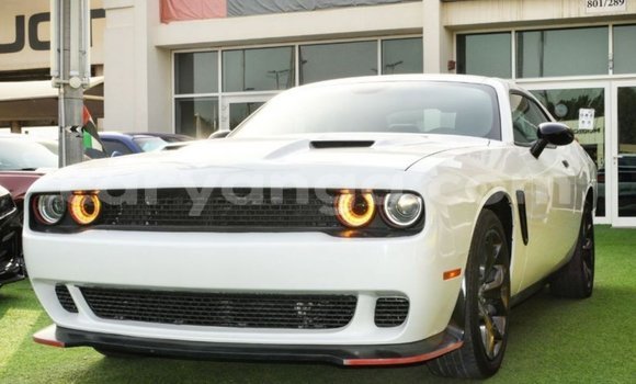 Buy Import Dodge Challenger White Car in Import - Dubai in Malawi