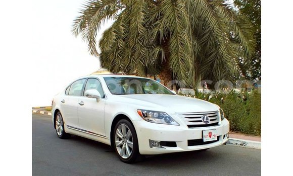 Buy Import Lexus LS White Car in Import - Dubai in Malawi