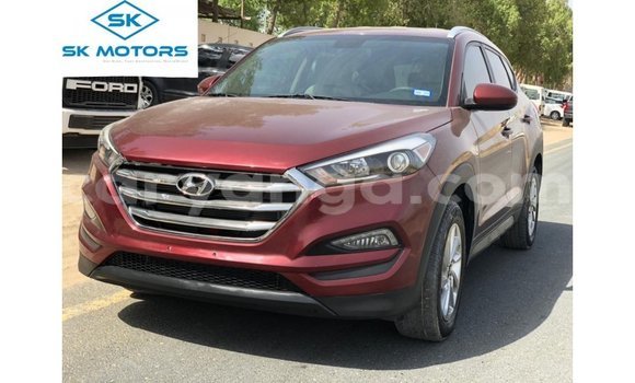Buy Import Hyundai Tucson Red Car in Import - Dubai in Malawi Buy Import Hyundai Tucson Red Car in Import - Dubai in Malawi