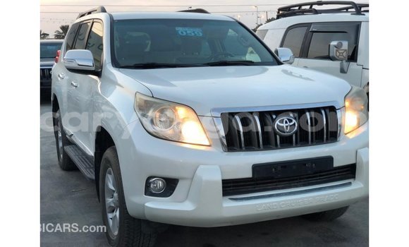 Acheter Import Voiture Toyota Prado Blanc à Import - Dubai, Malawi Acheter Import Voiture Toyota Prado Blanc à Import - Dubai, Malawi