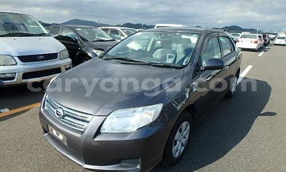 Buy Import Toyota Axio Other Car in Blantyre in Malawi