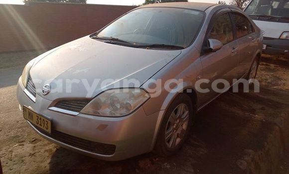 Buy Used Nissan Primera Black Car in Limbe in Malawi Buy Used Nissan Primera Black Car in Limbe in Malawi