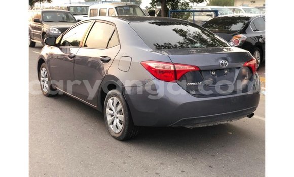 Nunua Imported Toyota Corolla Other Gari ndani ya Import - Dubai nchini Malawi Nunua Imported Toyota Corolla Other Gari ndani ya Import - Dubai nchini Malawi