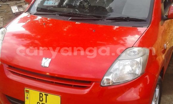 Buy Used Toyota Paseo Black Car in Limbe in Malawi Buy Used Toyota Paseo Black Car in Limbe in Malawi