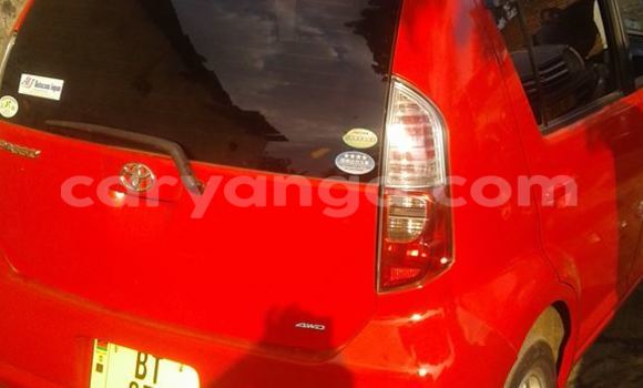 Buy Used Toyota Paseo Black Car in Limbe in Malawi Buy Used Toyota Paseo Black Car in Limbe in Malawi