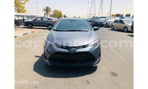 Nunua Imported Toyota Corolla Other Gari ndani ya Import - Dubai nchini Malawi Nunua Imported Toyota Corolla Other Gari ndani ya Import - Dubai nchini Malawi