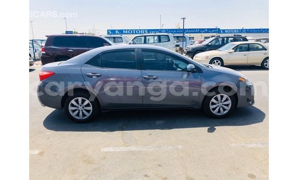 Nunua Imported Toyota Corolla Other Gari ndani ya Import - Dubai nchini Malawi Nunua Imported Toyota Corolla Other Gari ndani ya Import - Dubai nchini Malawi