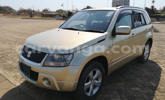 Buy Used Suzuki Grand Vitara Beige Car in Lilongwe in Malawi Buy Used Suzuki Grand Vitara Beige Car in Lilongwe in Malawi