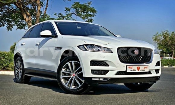 Buy Import Jaguar F-Pace White Car in Import - Dubai in Malawi