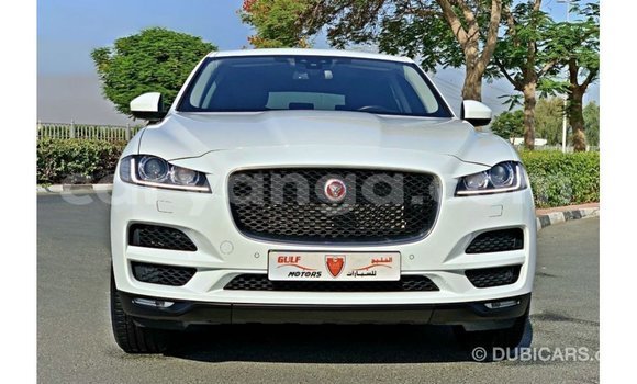 Buy Import Jaguar F-Pace White Car in Import - Dubai in Malawi Buy Import Jaguar F-Pace White Car in Import - Dubai in Malawi
