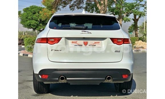 Buy Import Jaguar F-Pace White Car in Import - Dubai in Malawi Buy Import Jaguar F-Pace White Car in Import - Dubai in Malawi