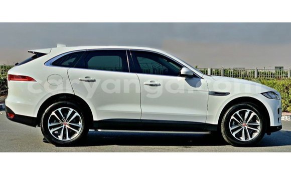 Buy Import Jaguar F-Pace White Car in Import - Dubai in Malawi Buy Import Jaguar F-Pace White Car in Import - Dubai in Malawi