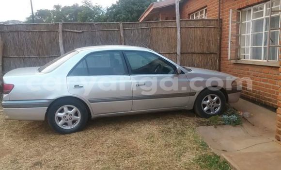 Buy Used Toyota Celica Black Car in Limbe in Malawi