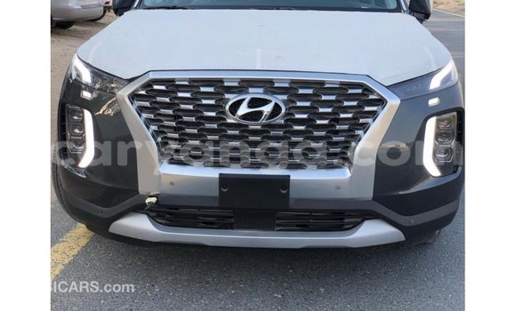 Buy Import Hyundai Chorus Other Truck in Import - Dubai in Malawi Buy Import Hyundai Chorus Other Truck in Import - Dubai in Malawi