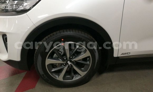 Buy Import Kia Sorento White Car in Import - Dubai in Malawi Buy Import Kia Sorento White Car in Import - Dubai in Malawi