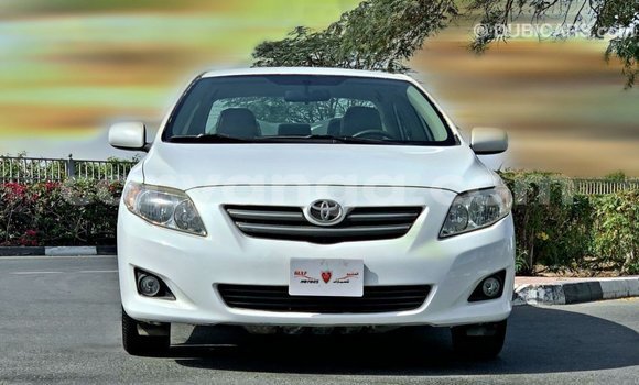 Buy Import Toyota Corolla White Car in Import - Dubai in Malawi Buy Import Toyota Corolla White Car in Import - Dubai in Malawi