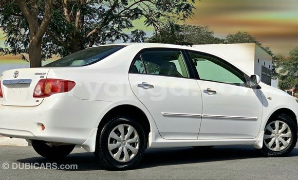 Buy Import Toyota Corolla White Car in Import - Dubai in Malawi Buy Import Toyota Corolla White Car in Import - Dubai in Malawi