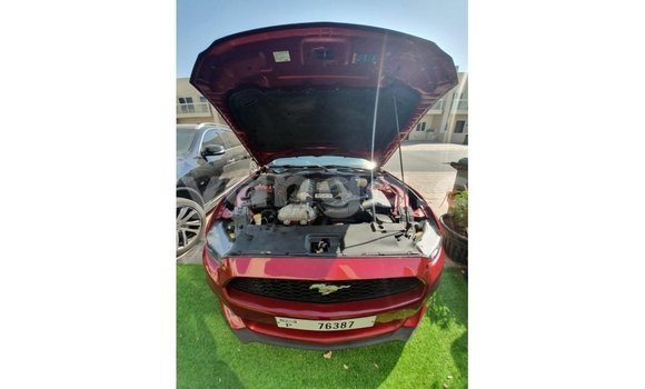 Nunua Imported Ford Mustang Red Gari ndani ya Import - Dubai nchini Malawi Nunua Imported Ford Mustang Red Gari ndani ya Import - Dubai nchini Malawi